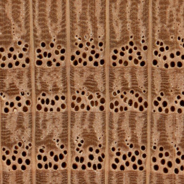 Hardwood Installation by The Hardwood Guys