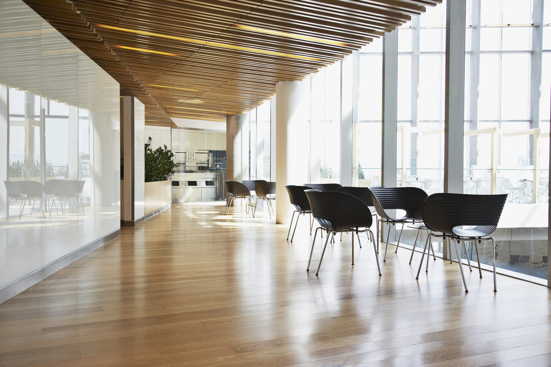 Cleaning & Maintenance by The Hardwood Guys